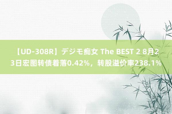 【UD-308R】デジモ痴女 The BEST 2 8月23日宏图转债着落0.42%，转股溢价率238.1%